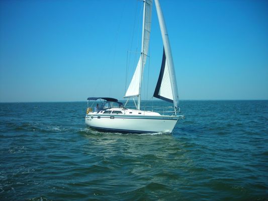 Hunter 335 - main image