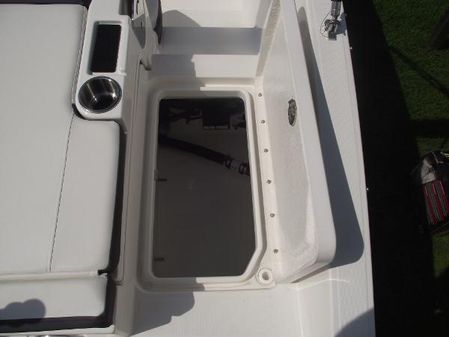 Bayliner DX2000 image