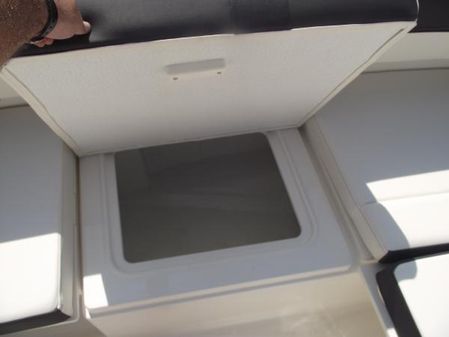 Bayliner DX2000 image