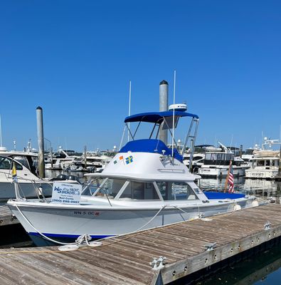 Bertram 31 Sportfisher - main image