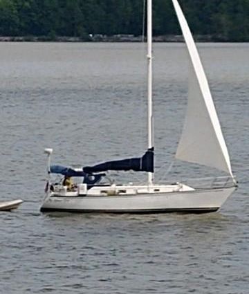 Hunter 36 image