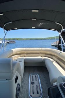 Premier 250-INTRIGUE-RL image