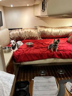Rinker 350 Express Cruiser image