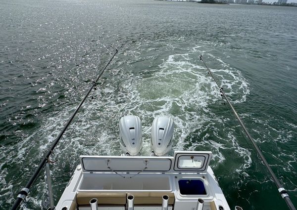 Everglades 335-CENTER-CONSOLE image