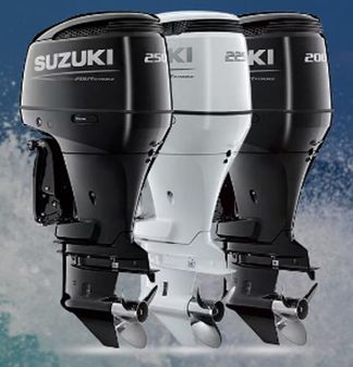 Suzuki DF250APXXW5 image