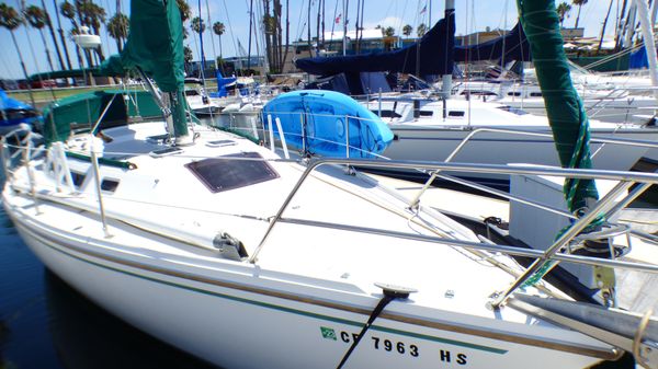 Catalina 36 Sloop 