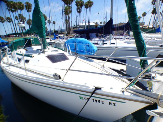 Catalina 36-SLOOP - main image