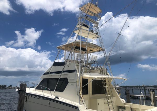 Hatteras Convertible image