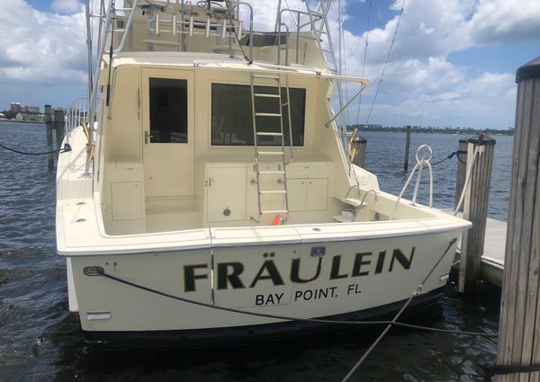 Hatteras Convertible image