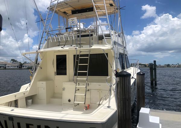 Hatteras Convertible image