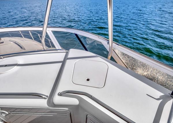 Sea Ray 56 image