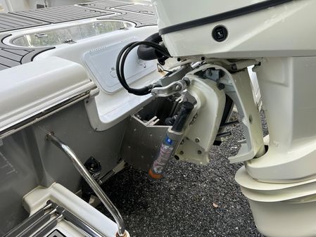Sea Pro 248 image