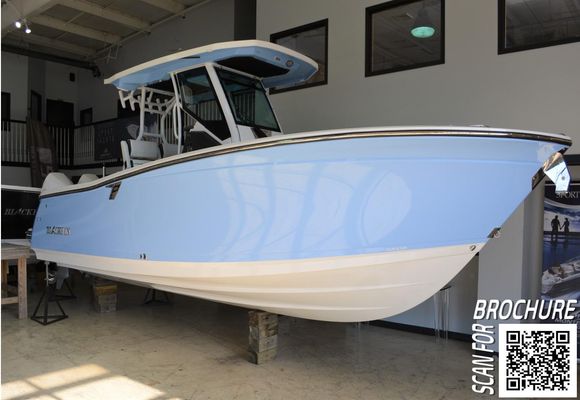 Blackfin 272 CC - main image