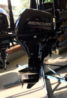 Mercury Fourstroke 9.9 hp image