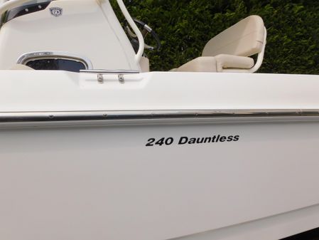 Boston Whaler 240 Dauntless image