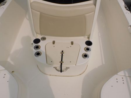 Boston Whaler 240 Dauntless image