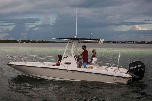 Boston Whaler 240 Dauntless image