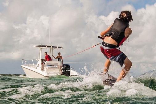 Boston Whaler 240 Dauntless image