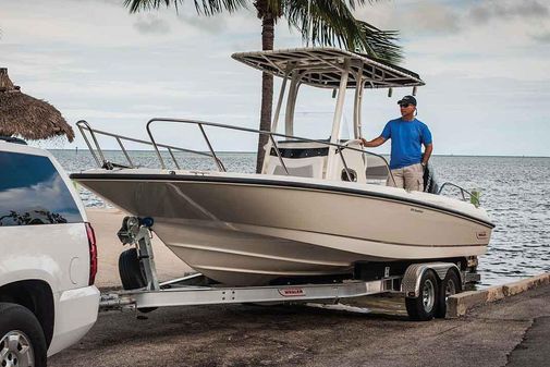 Boston Whaler 240 Dauntless image