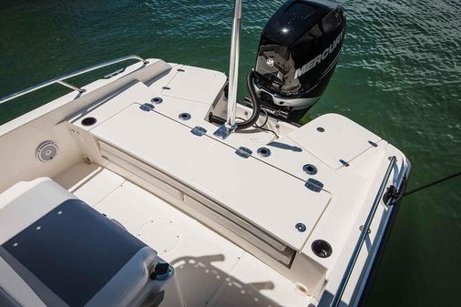 Boston Whaler 240 Dauntless image