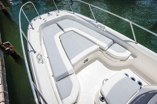 Boston Whaler 240 Dauntless image