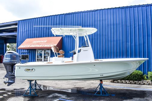 Sea Hunt BX 22 BR image