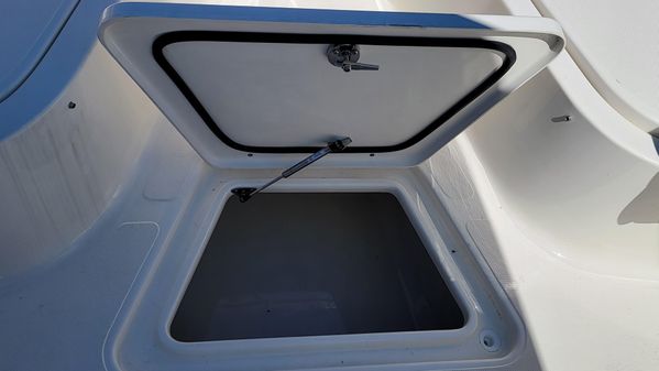Pioneer 222 Islander image