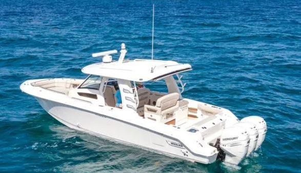 Boston Whaler 350 Realm 