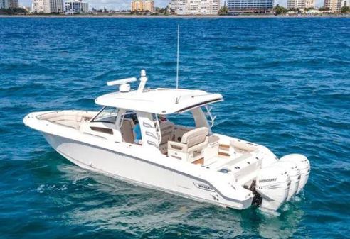 Boston-whaler 350-REALM image