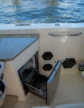 Boston-whaler 350-REALM image