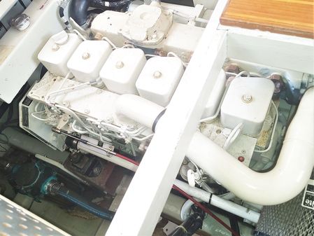 Island-gypsy 32 image