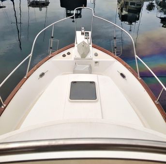 Island-gypsy 32 image