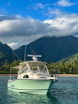 Grady-White Marlin 30 image