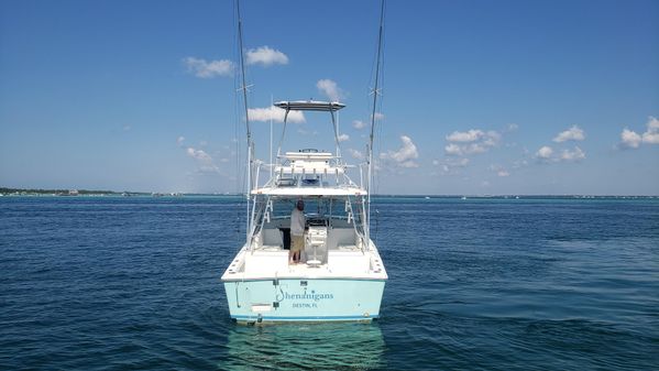 Luhrs 29 Open image