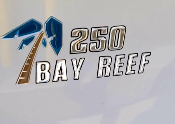 Key West 250 Bay Reef image