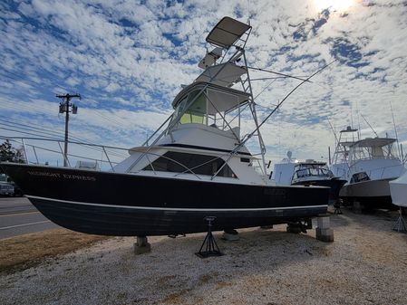 Blackfin 32 Flybridge image