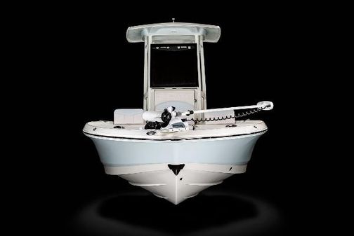 Robalo 246-CAYMAN image