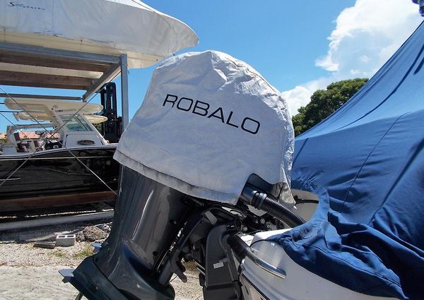 Robalo R265-WALKAROUND image