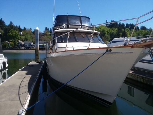Ocean Alexander Mark II - main image