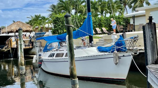 Freedom 32