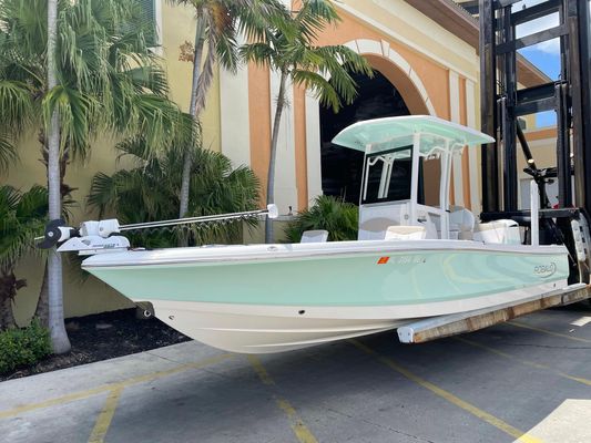Robalo 246 Cayman - main image