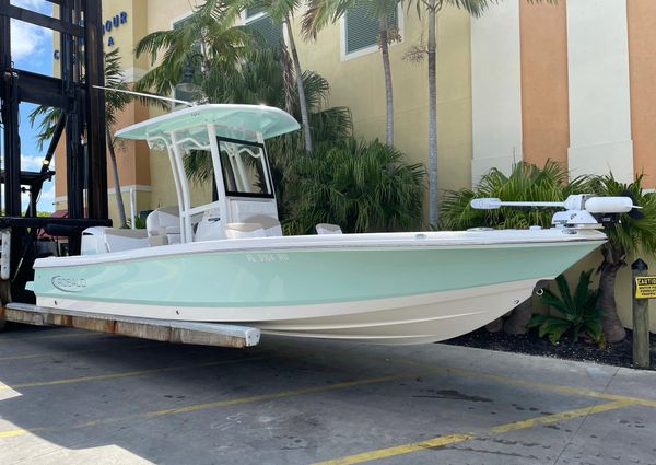 Robalo 246 Cayman image