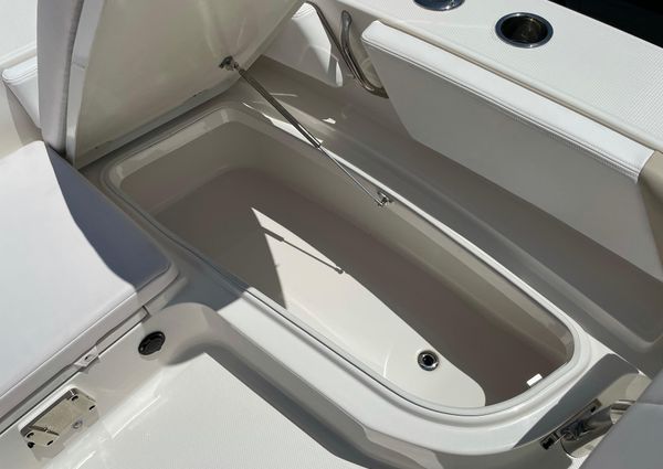 Robalo 246 Cayman image
