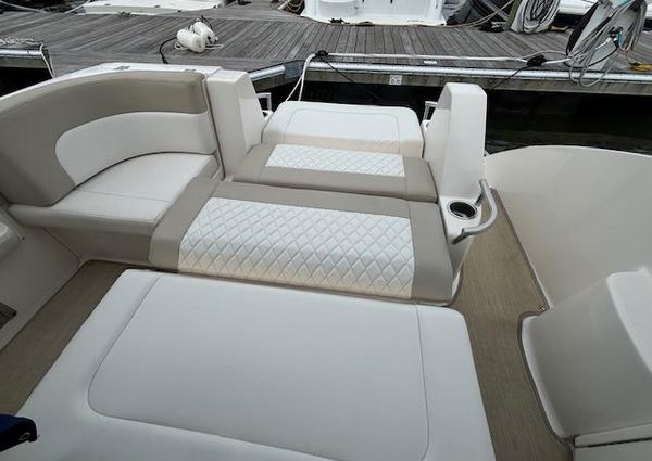 Chaparral 310 Signature image