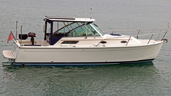 Back Cove 29