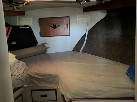 Bertram 42 Convertible image