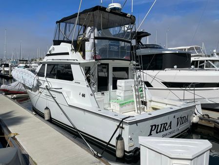 Bertram 42 Convertible image