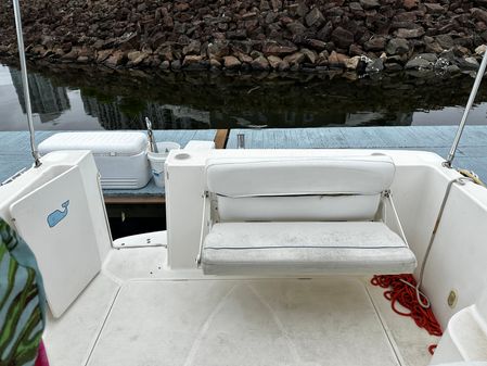 Bayliner DISCOVERY-246 image