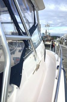 Grady-white MARLIN-300 image