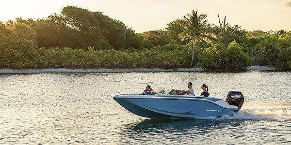 Bayliner M 17 image